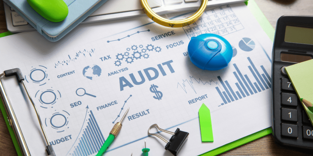 CMA Inter Audit tips
